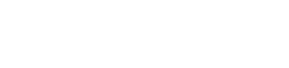 THE VENTURE